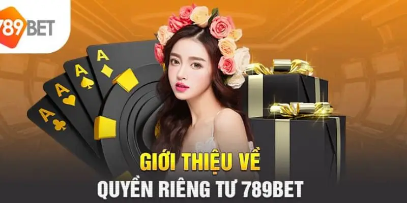 Giới thiệu về quyền riêng tư